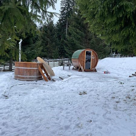 Hotel Floare De Colt Mînăstirea Humorului المظهر الخارجي الصورة