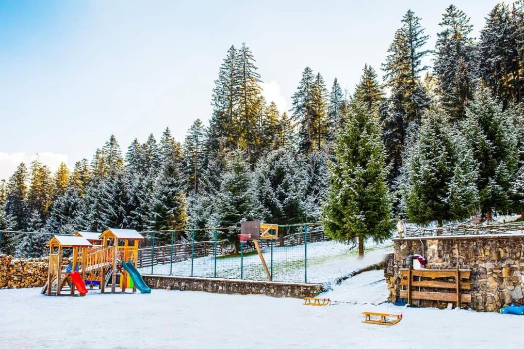 Hotel Floare De Colt Mînăstirea Humorului المظهر الخارجي الصورة