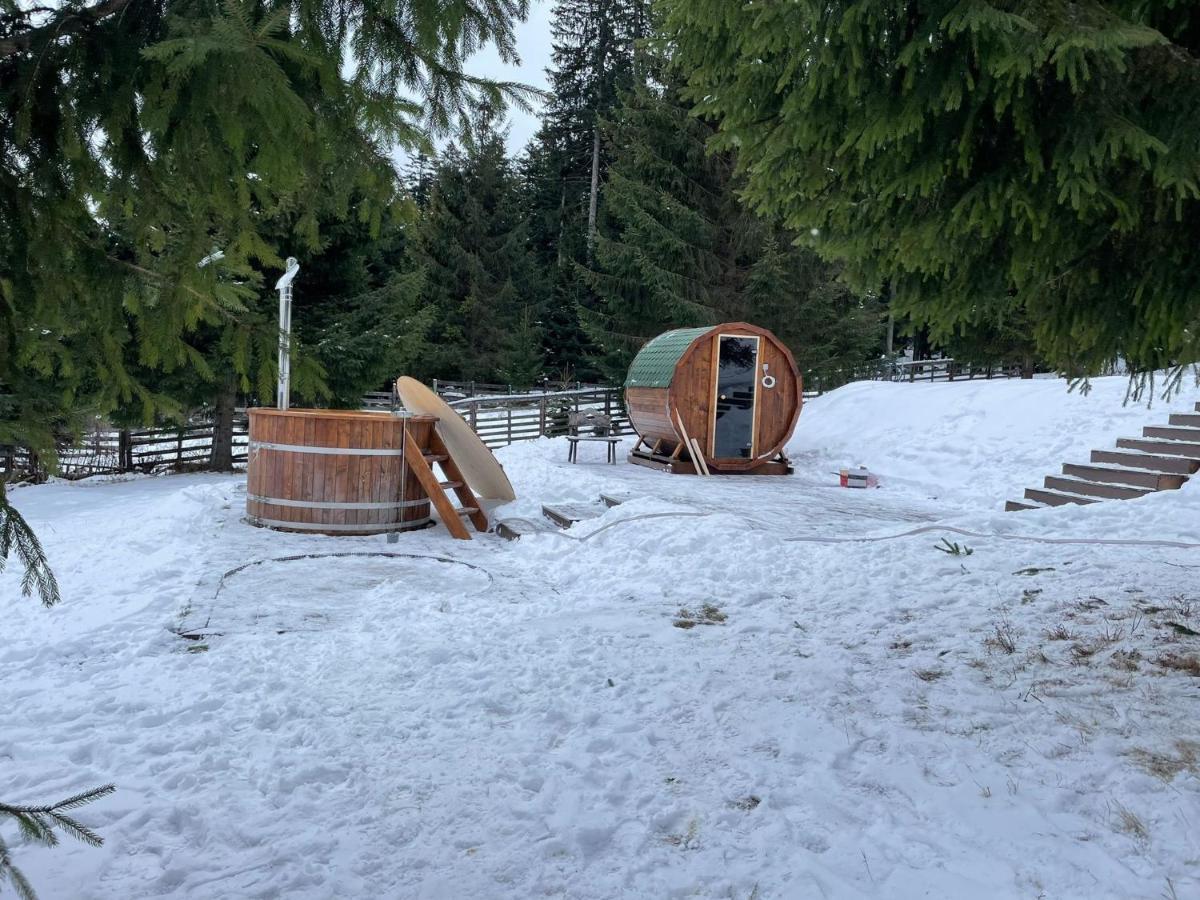 Hotel Floare De Colt Mînăstirea Humorului المظهر الخارجي الصورة